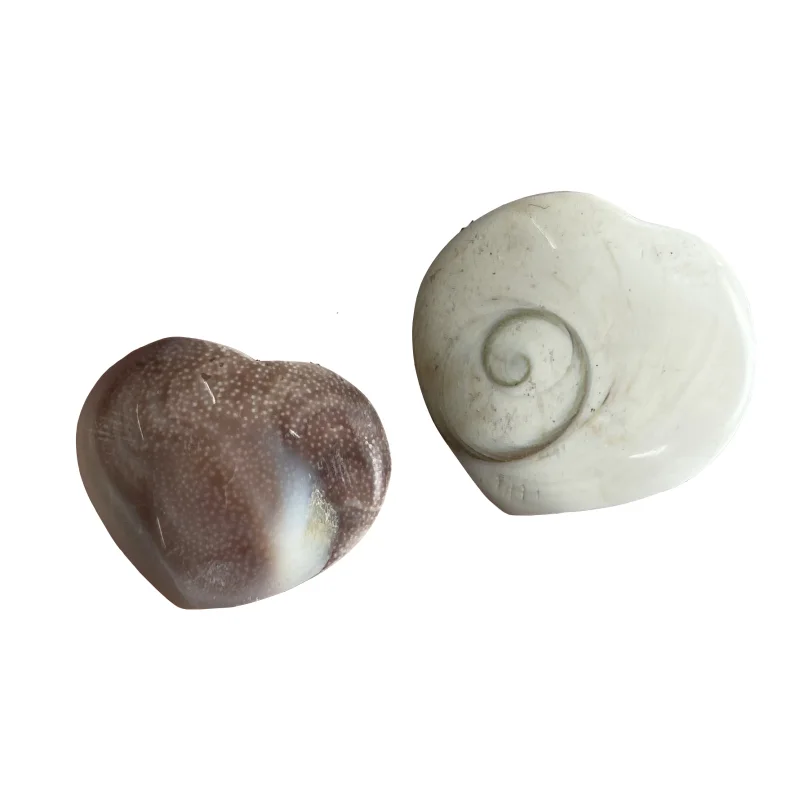 

2pcs Natural Sun shell fossil Fossil Specimen Crystal Love Heart Reiki Shiva Eye