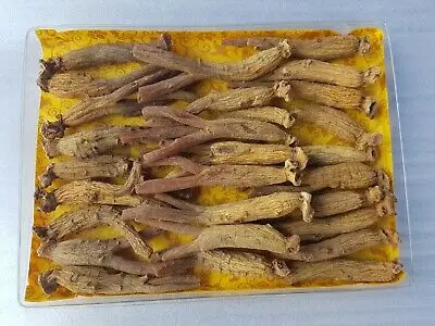 

Korean Red Ginse ng R oot 6 years 400g (about 30 roots)* man's health*