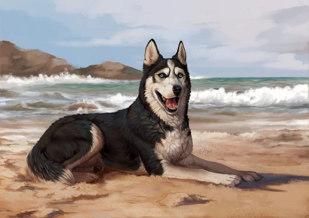 

Jmine Div 5D Husky Dog Beach Full Diamond Painting cross stitch kits art High Quality Animal 3D paint by diamonds