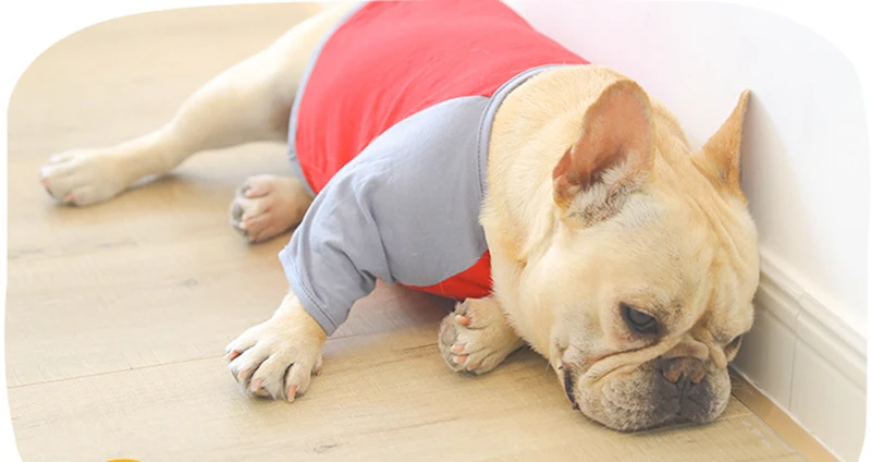 [MPK Dog denim Комбинезоны] джинсовые комбинезоны для собак, джинсы для собак подходят для французских бульдогов, джинсы для собак Мопсов