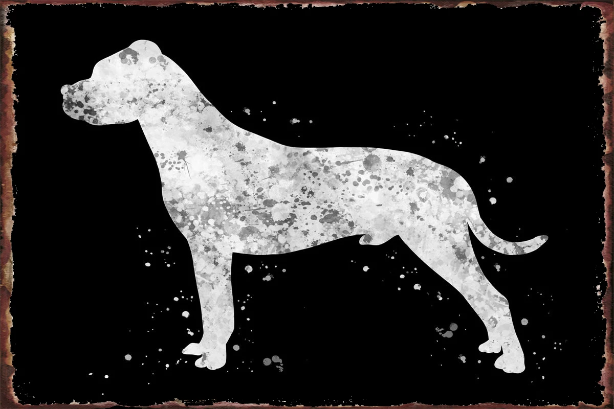 

Жестяная Табличка Dogo серебристо-собачья, декор для стен, винтажный металлический Ретро знак для творчества, дома, клуба, мужской пещеры, каф...