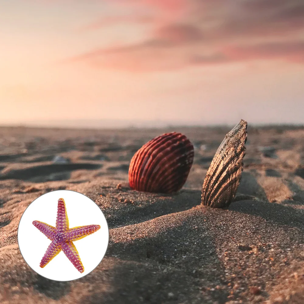 

1pc Simulated Sea Star Model Sea Star Decorations Sea Star Ornament for Decor