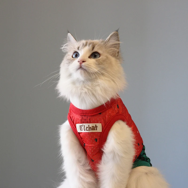

2021 Cats Clothing Dogs Vests Sweatshirt Summer Puppy Clothes Watermelon Style Costume Cats Dogs Cotton T-Shirts For Pets