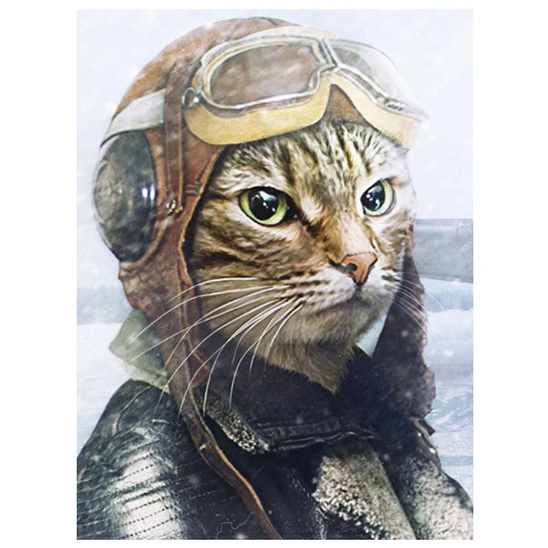 

Полная круглая роспись из бриллиантов животное кошка 5d алмазная вышивка распродажа Алмазная картина Стразы домашний Декор подарок