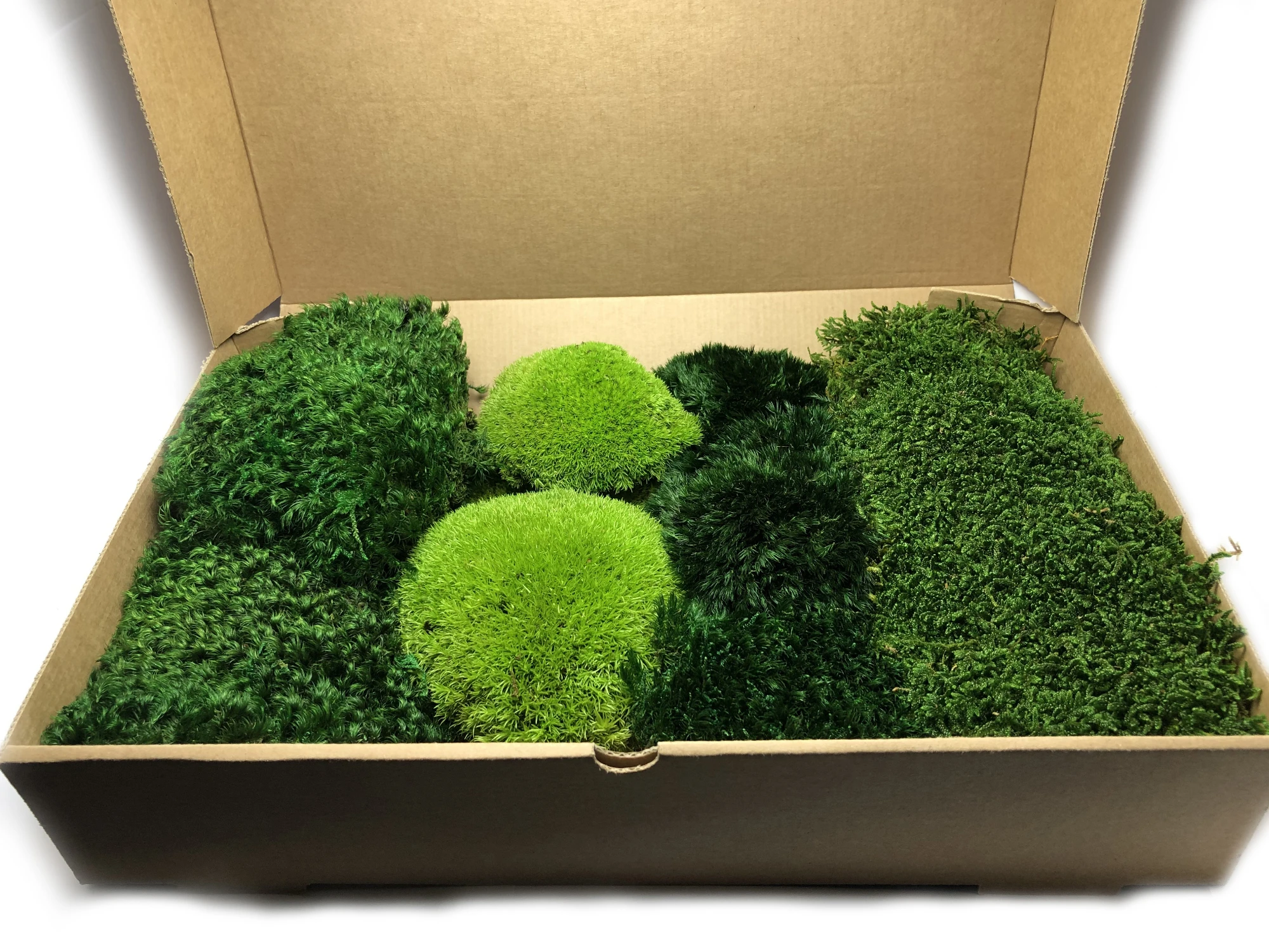 Набор разнообразных рамок MossArt Deco Moss плоские зеленые стены украшения для дома