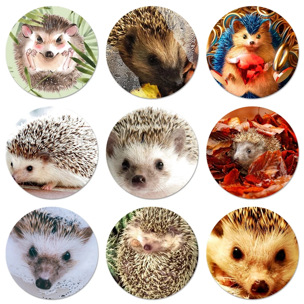 

hedgehog Cute animal Icons Pins Badge Decoration Brooches Metal Badges For Clothes Backpack Decoration 58mm