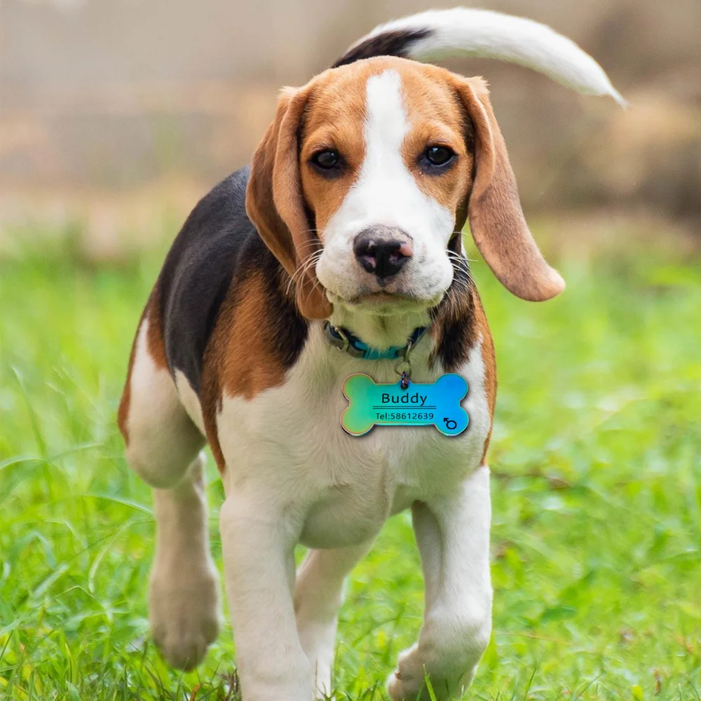 Персонализированные идентификационные бирки для домашних животных радужные