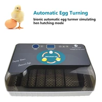 upgraded egg incubator automatic 12 egg hatchery machine newest temperature humidity control chicken duck quail bird brooder