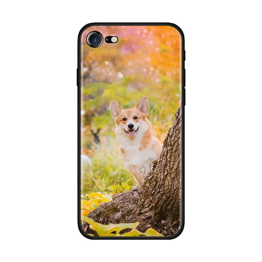 Милый чехол для Apple iPhone 11 Pro Max XS X XR 7 8 6 6S Plus 5 5S SE Черный силиконовый телефона