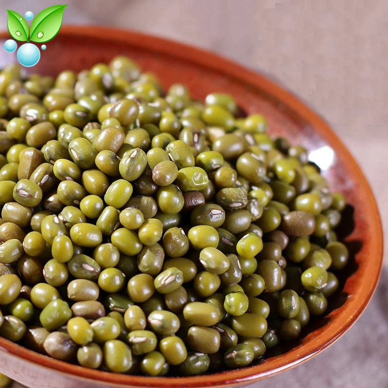 Бобы Mung уменьшают огонь удаляют фетальный яд и решают запор во время