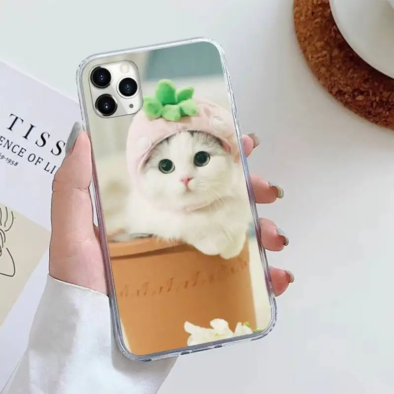 

cute cat animal Phone Case For iphone 12 5 5s 5c se 6 6s 7 8 plus x xs xr 11 pro max mini