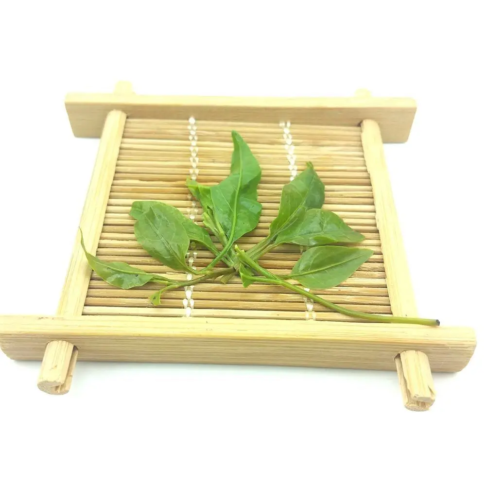 

Best Natural Small Leaf Kuding Personal Health Care Hainan Herbal Chinese Tea