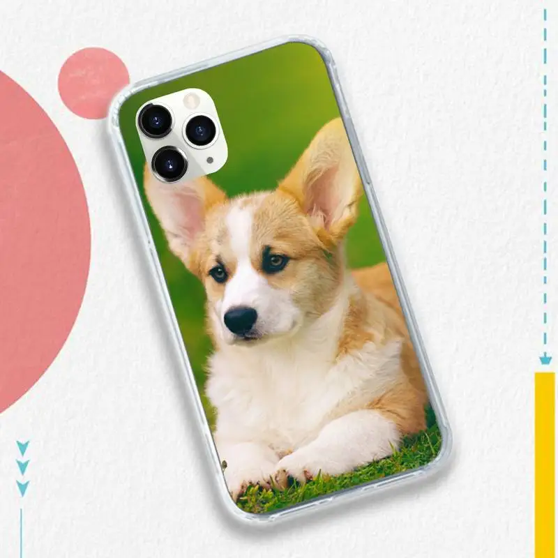 

Lovely aniaml dog Corgi Phone Case for iPhone 11 12 mini pro XS MAX 8 7 6 6S Plus X 5S SE 2020 XR