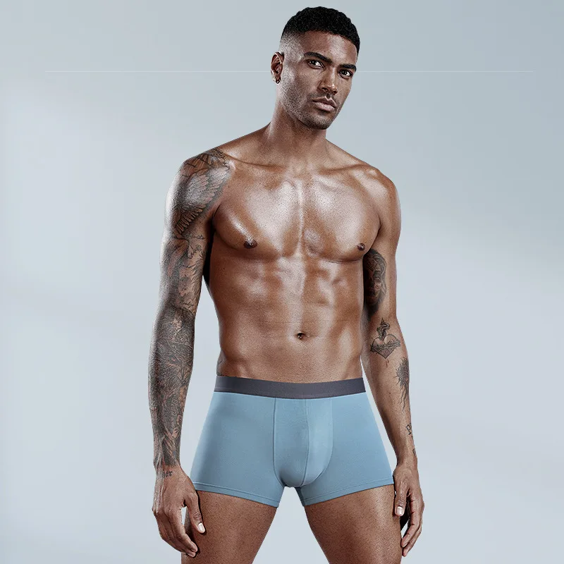 

2021 Men Boxer Shorts 60S Modal Male Boxer Underwear Large Size Underpants Soft Men's Panties Sexy Boxers 3XL Mens Boxer Briefs