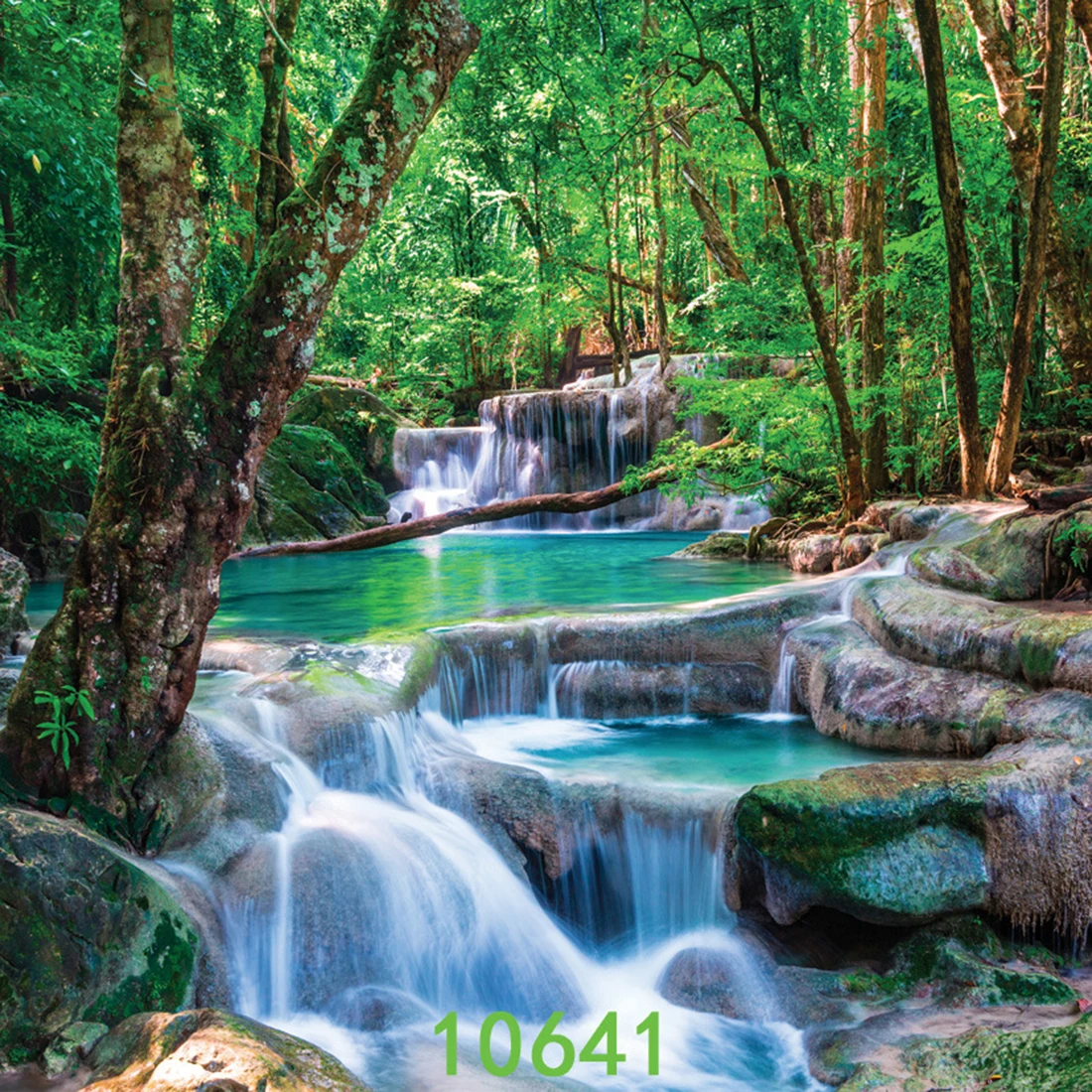 Аниме красивый лесной дерево воды сценическое украшение фотографии фон