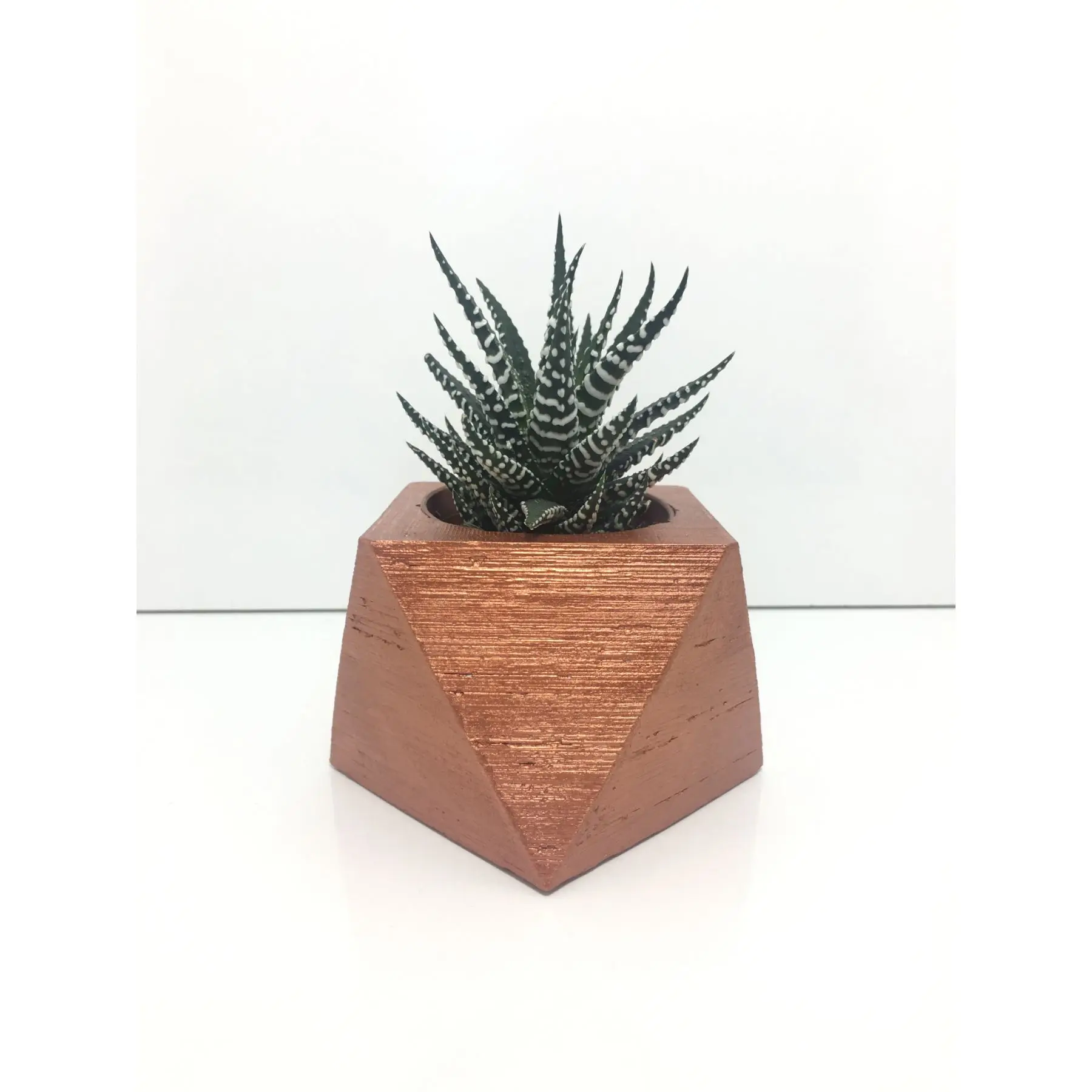 

Square Concrete Pot and Live Sukulent - YE1601