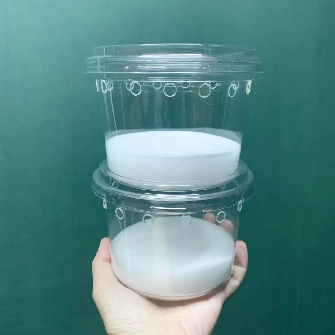 

Transparency Display Insect Collection Box Acrylic Amphibians Reptiles Insect House Nest Mini Maison Insecte Pet Products Ed50id