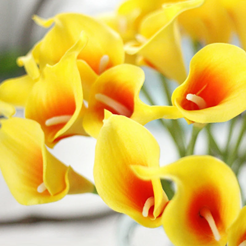 30 шт./лот искусственный белый настоящий для дома сушеные Цветочные венки