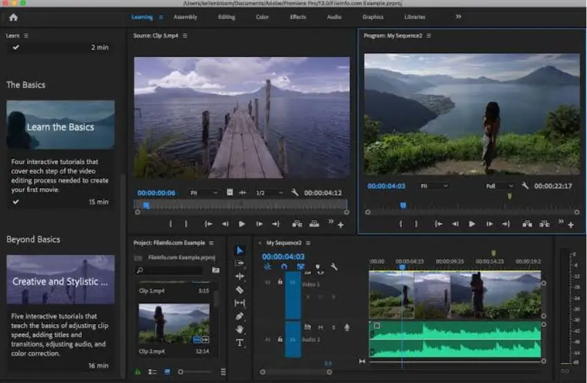 

Software Premiere Pro CC 2020 Tmeline Based Video Editing Software Windows Lifetime Use