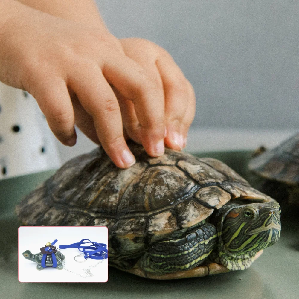 

1pc Tortoise Pulling Rope Pet Tortoise Hauling Leash Pet Tortoise Walking Leash