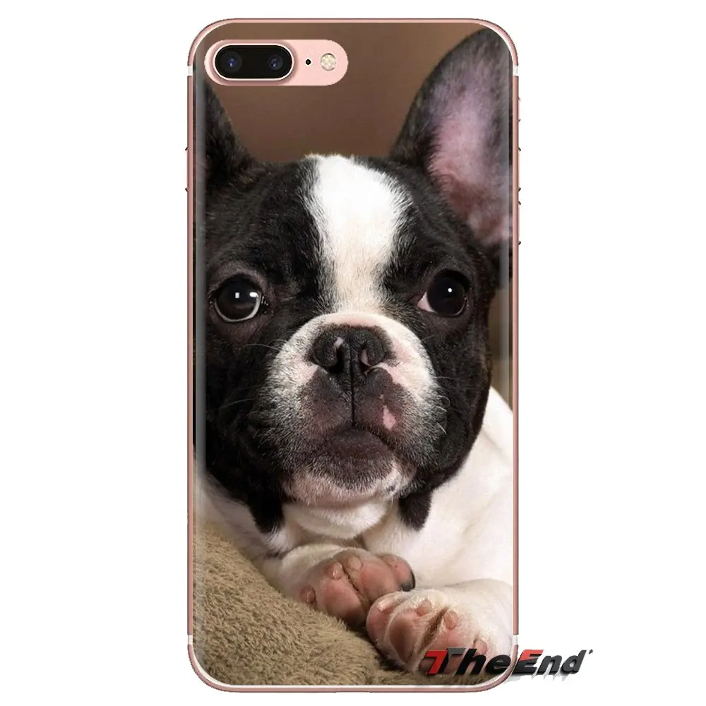 Бостон-терьер с изображением щенков милые носки для iPhone XS Max XR X 4 4S 5 5S 5C SE 6 6S 7 8 плюс