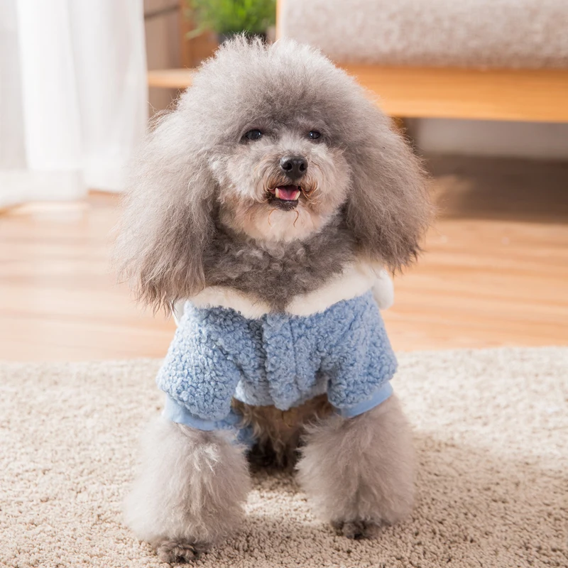 Hipidog Бесплатная доставка Забавный милый кролик одежда для домашних животных