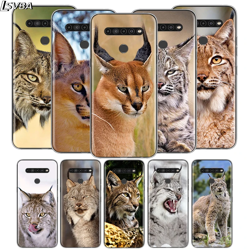 

Cute Canada Lynx For LG V60 V50S V50 G8X G8S G8 G7 ThinQ 5G K61 K51S K41S K30 K20 Q60 Q9 Soft Phone Case