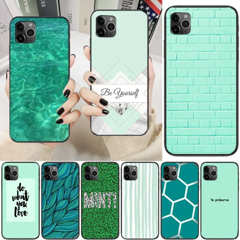 

Aqua Silver Green Mint Phone Case For Iphone 6 6s 7 8 Plus XR X XS XSmax 11 12 13 Pro Mini Max