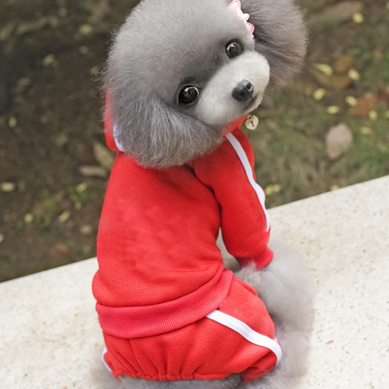 Хлопковая одежда для кошек пальто собак толстая домашних животных чихуахуа