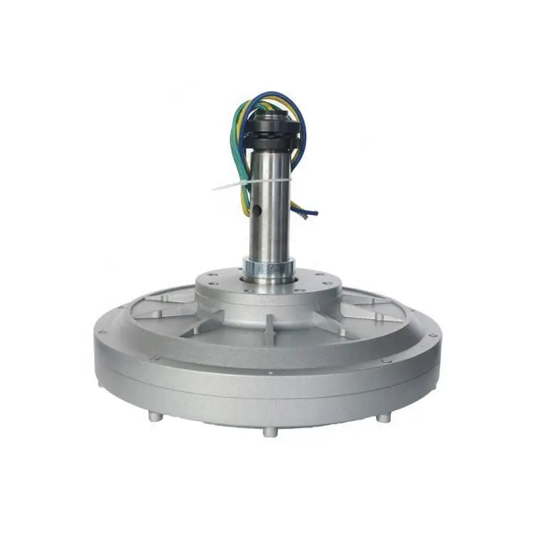 

50w 250rpm low torque coreless PMG DIY bike dynamo three phase electric dynamo generator