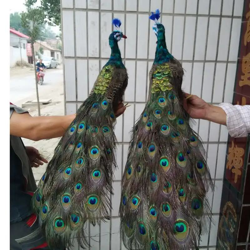 Пара большого моделирования модель павлина пены и меха красочный кукольный