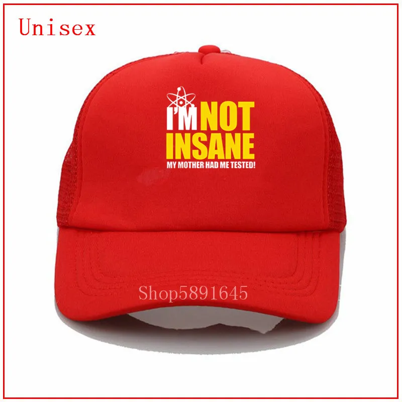 Кепка THE THEORY для мужчин и женщин бейсболка с забавным рисунком Я не безумный