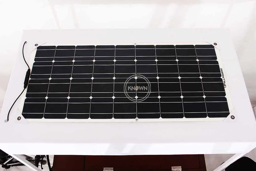 2021 взрослый электрическая грузовой трехколесный велосипед Семья холодильник