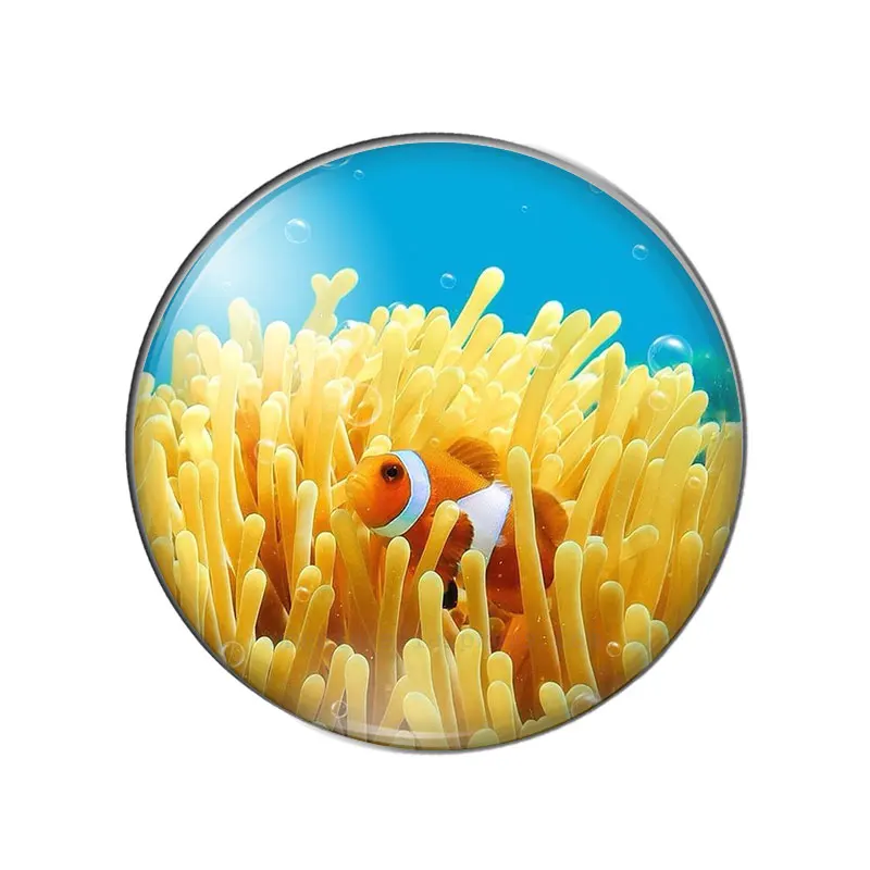 Новинка рыба морская звезда черепаха лошадь 10 шт. 8 мм/10 мм 1 2 мм/18 мм/20 мм/25 круглые