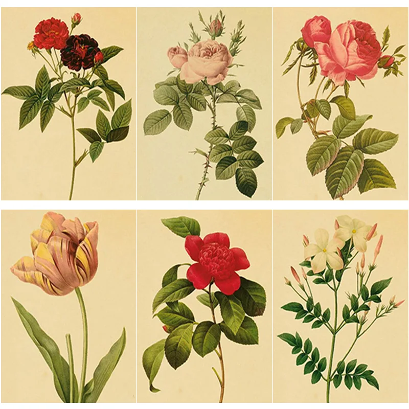 

New 5D DIY Diamond Painting Cross Stitch Specimen Flower Diamond Embroidery Full Square Round Drill Home Decor Manual Art Gift