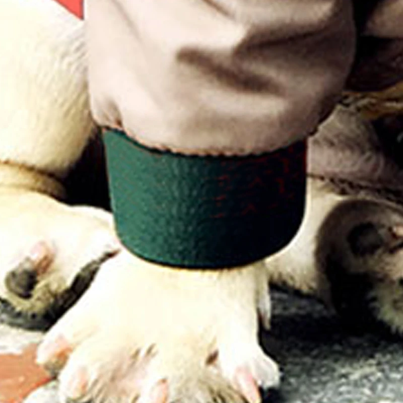 На сезон весна/осень мопс куртка для чихуахуа Костюм Для Пуделя XS XL дропшиппинг