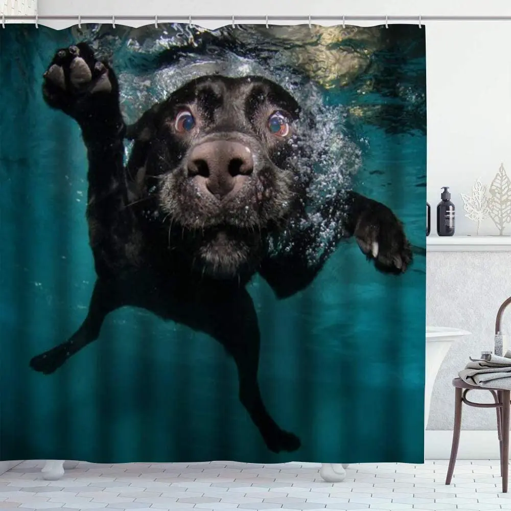 Divertente cane Labrador Retriever nero nuoto con tenda da doccia moderna faccia espressiva