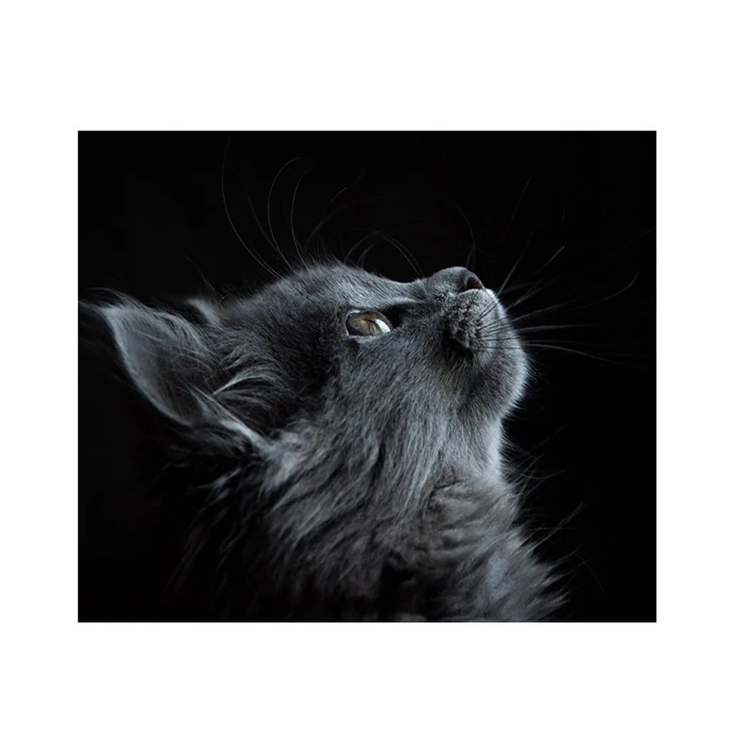 Гобелен для домашнего животного с изображением кошки настенный диван покрывало