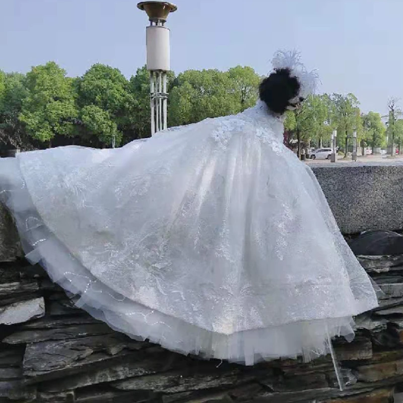 Роскошное платье с вышивкой и шлейфом для маленьких собак свадебное блестящее