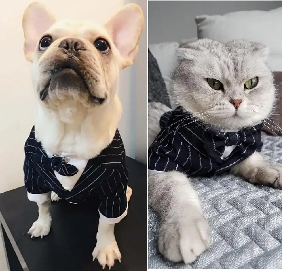 ПЭТ в виде жениха и невесты костюм одежда с украшениями кошка собачье свадебное