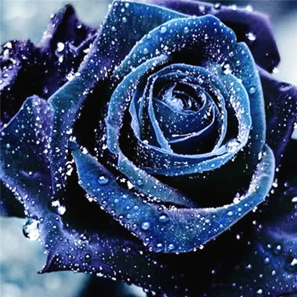 flower 4040 AZQSD Алмазная Вышивка Цветы ручная работа алмазная картина Роза картина Стразы Алмазная мозаика домашний декор ремесла подарок - Цвет: flower 4040