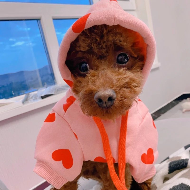 

The dog a hooded sweatshirt to fall and winter clothing