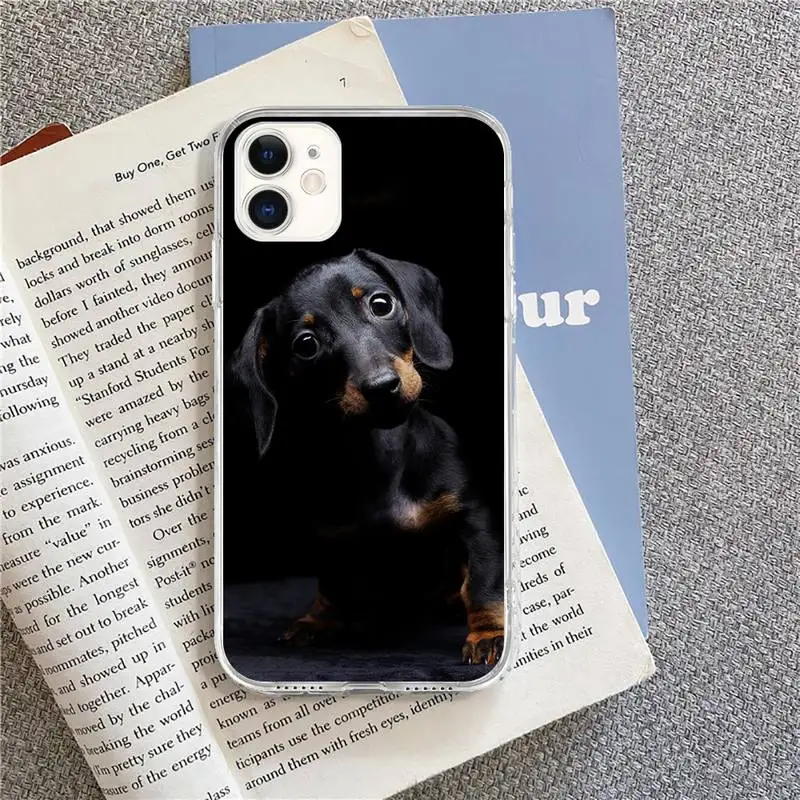 

cute Dachshund dog Phone Cases for iPhone 8 7 6 6S Plus X 5S SE 2020 XR 11 pro XS MAX 12 12Mini