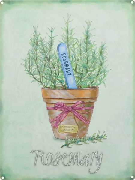 

Tin Sign Rosemary Green Sign Metal Poster Decoration Home Bedroom Living Room Yard Coffee Shop Plaque Lounge Corridor Wall Sign
