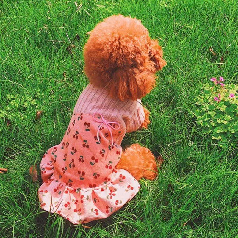 Pet Dog Dress Casual Sweet Style Puppy Clothes Fake Two Piece Suit Party Tutu For Small Dogs Chihuahua Poodle Fleece Skirt | Дом и сад