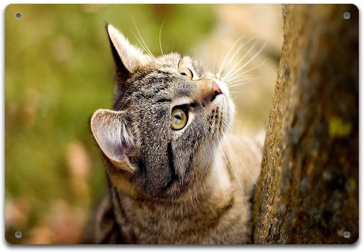 Ретро винтажный жестяной знак настенные металлические Плакаты для дома кухни