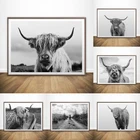 Настенное художественное оформление без рамки, постер на холсте в стиле Highland Cow, минималистичное абстрактное шотландское изображение крупного рогатого скота для украшения гостиной