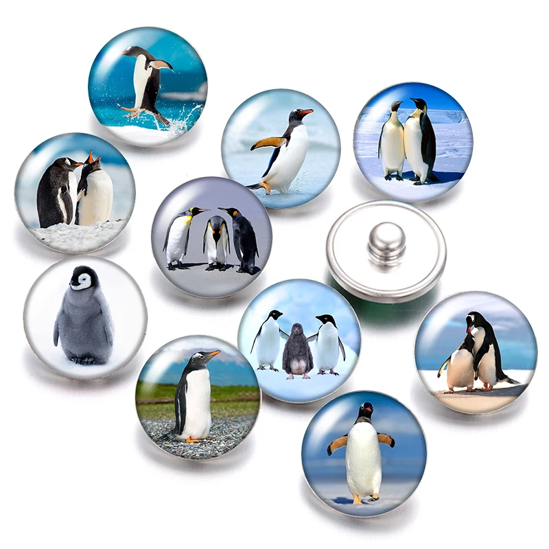 Океанические животные Пингвин морская черепаха КИТ 18 мм кнопки 10 шт. круглые фото
