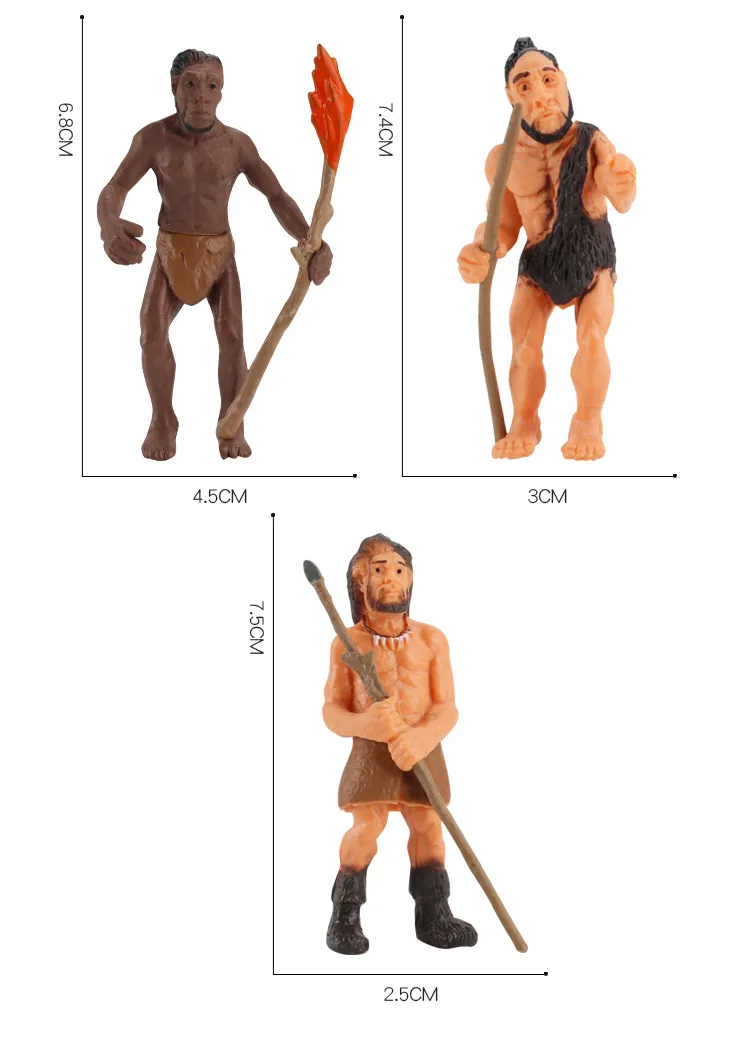 

5pcs/Set Human Evolutionary History Displays Figures Models Australopithecus To Homo sapiens Kids Educational Toys Gifts