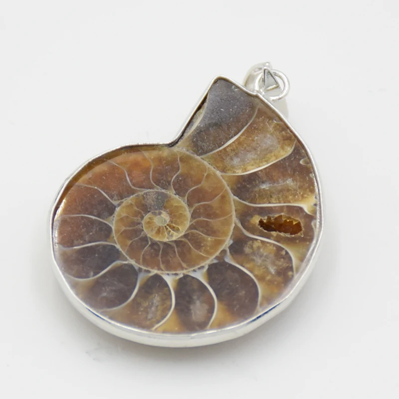 Подвеска в форме улитки из натурального аммонита океанская раковина подвеска с
